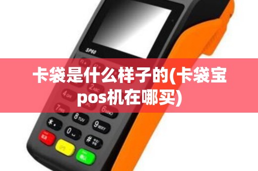 卡袋是什么样子的(卡袋宝pos机在哪买)