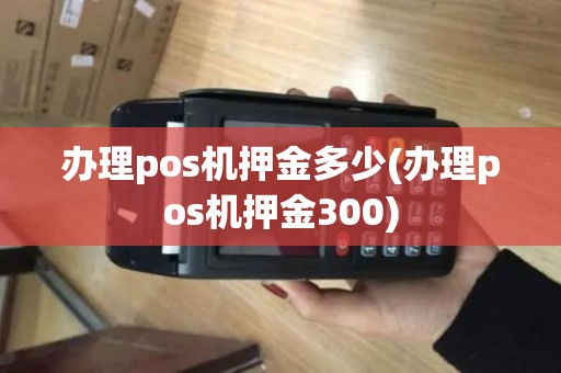 办理pos机押金多少(办理pos机押金300)