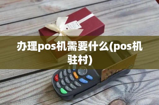 办理pos机需要什么(pos机驻村)