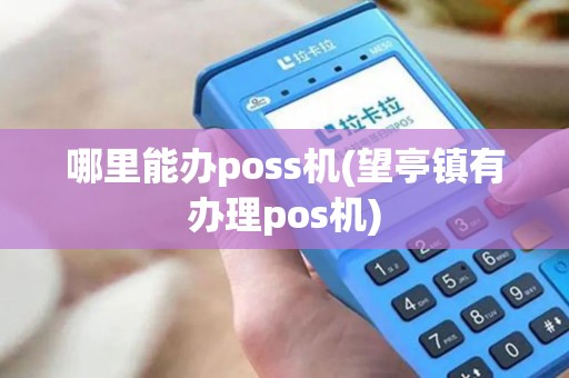 哪里能办poss机(望亭镇有办理pos机)