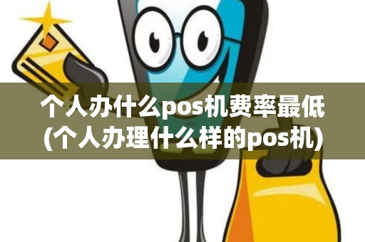 个人办什么pos机费率最低(个人办理什么样的pos机)