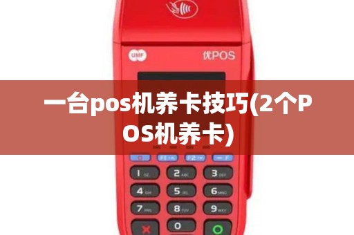 一台pos机养卡技巧(2个POS机养卡)