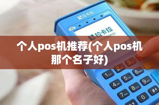 个人pos机推荐(个人pos机那个名子好)