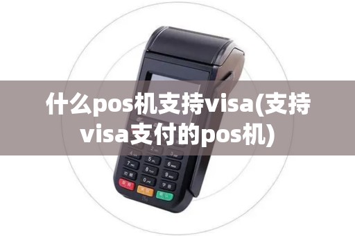 什么pos机支持visa(支持visa支付的pos机)