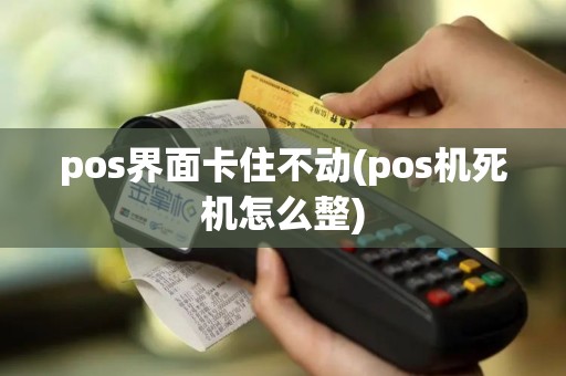 pos界面卡住不动(pos机死机怎么整)