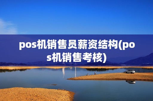 pos机销售员薪资结构(pos机销售考核)