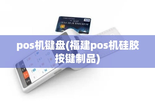 pos机键盘(福建pos机硅胶按键制品)