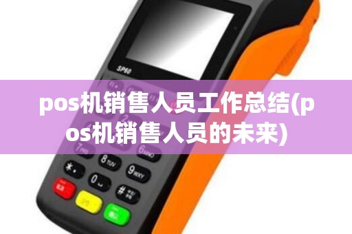 pos机销售人员工作总结(pos机销售人员的未来)