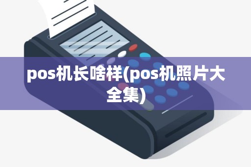 pos机长啥样(pos机照片大全集)