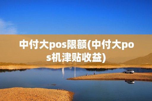 中付大pos限额(中付大pos机津贴收益)