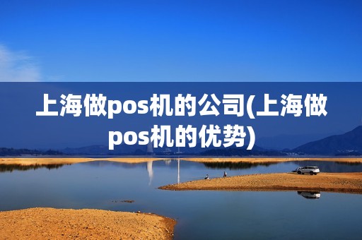 上海做pos机的公司(上海做pos机的优势)