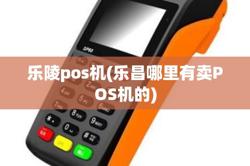乐陵pos机(乐昌哪里有卖POS机的)