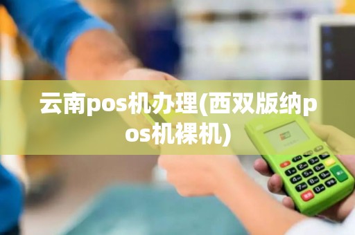 云南pos机办理(西双版纳pos机裸机)