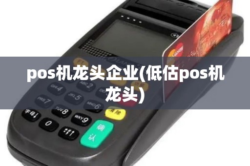 pos机龙头企业(低估pos机龙头) pos机龙头企业(低估pos机龙头)