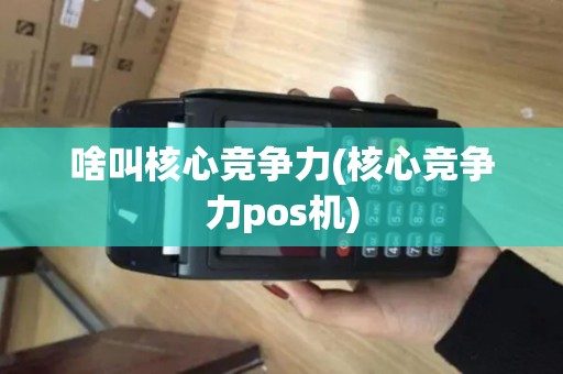 啥叫核心竞争力(核心竞争力pos机)