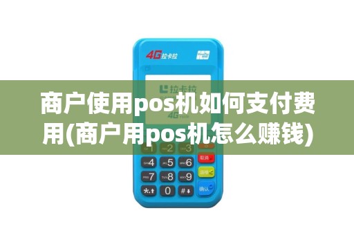 商户使用pos机如何支付费用(商户用pos机怎么赚钱)