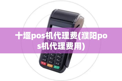 十堰pos机代理费(濮阳pos机代理费用)
