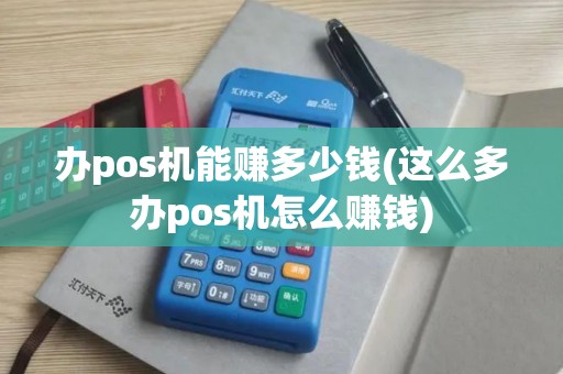 办pos机能赚多少钱(这么多办pos机怎么赚钱)