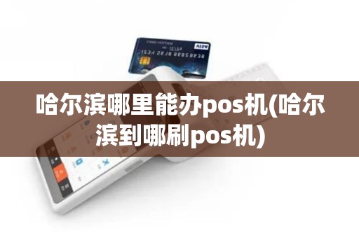 哈尔滨哪里能办pos机(哈尔滨到哪刷pos机) 哈尔滨哪里能办pos机(哈尔滨到哪刷pos机)