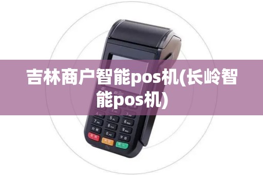 吉林商户智能pos机(长岭智能pos机)