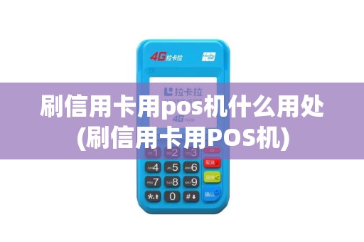 刷信用卡用pos机什么用处(刷信用卡用POS机)