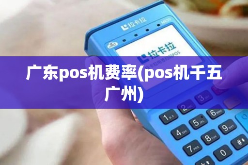 广东pos机费率(pos机千五广州)