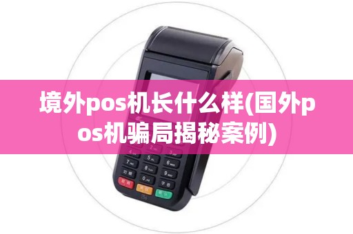 境外pos机长什么样(国外pos机骗局揭秘案例)