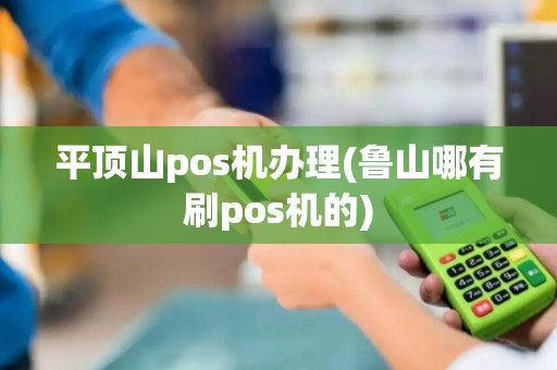 平顶山pos机办理(鲁山哪有刷pos机的)