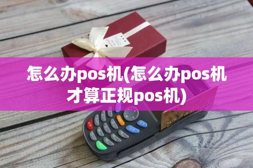 怎么办pos机(怎么办pos机才算正规pos机)