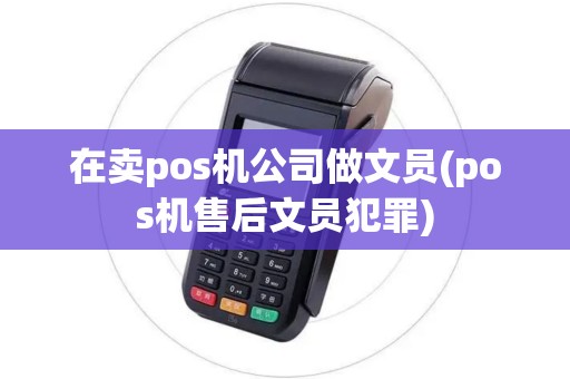 在卖pos机公司做文员(pos机售后文员犯罪)