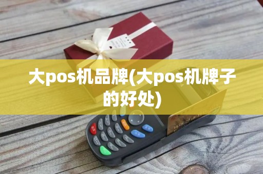 大pos机品牌(大pos机牌子的好处)