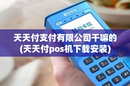 天天付支付有限公司干嘛的(天天付pos机下载安装)