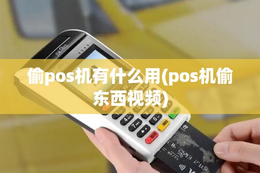偷pos机有什么用(pos机偷东西视频)