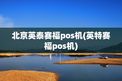 北京英泰赛福pos机(英特赛福pos机)