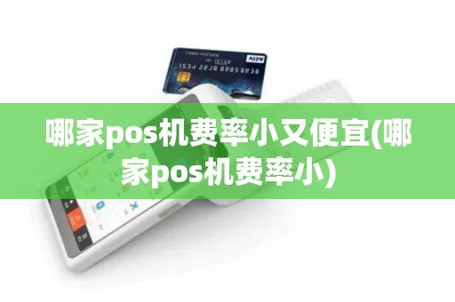 哪家pos机费率小又便宜(哪家pos机费率小)