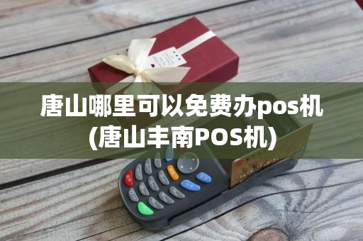 唐山哪里可以免费办pos机(唐山丰南POS机)