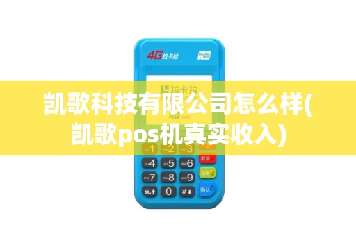 凯歌科技有限公司怎么样(凯歌pos机真实收入)