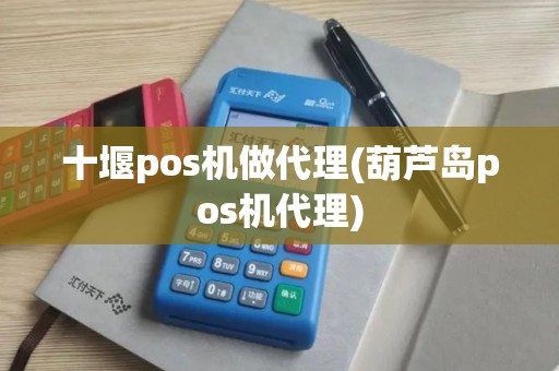 十堰pos机做代理(葫芦岛pos机代理)