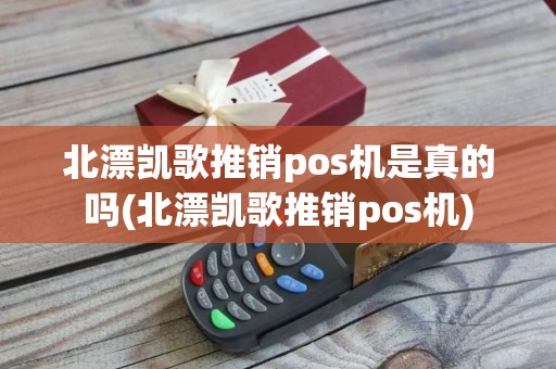 北漂凯歌推销pos机是真的吗(北漂凯歌推销pos机)