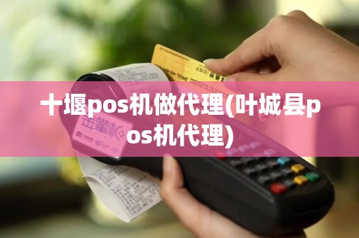 十堰pos机做代理(叶城县pos机代理)