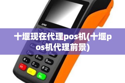 十堰现在代理pos机(十堰pos机代理前景)