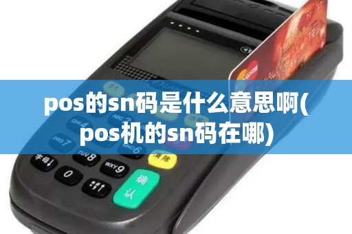pos的sn码是什么意思啊(pos机的sn码在哪)
