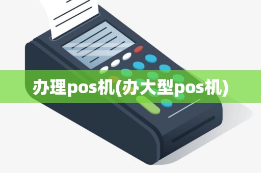 办理pos机(办大型pos机)