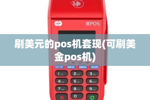 刷美元的pos机套现(可刷美金pos机)