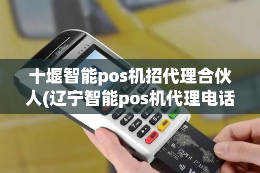 十堰智能pos机招代理合伙人(辽宁智能pos机代理电话)