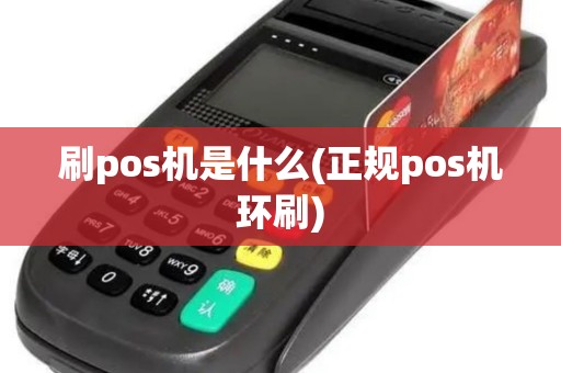刷pos机是什么(正规pos机环刷)