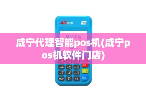 咸宁代理智能pos机(咸宁pos机软件门店)