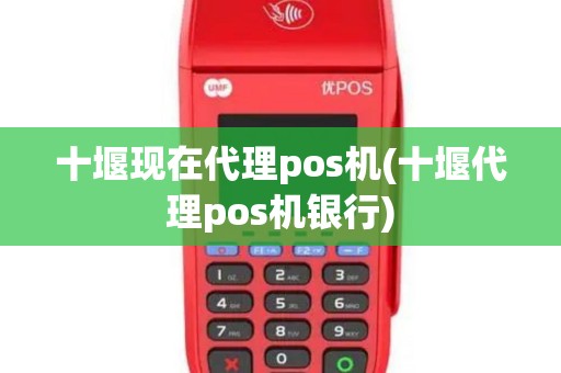 十堰现在代理pos机(十堰代理pos机银行)