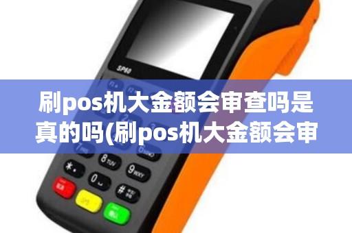 刷pos机大金额会审查吗是真的吗(刷pos机大金额会审查吗)