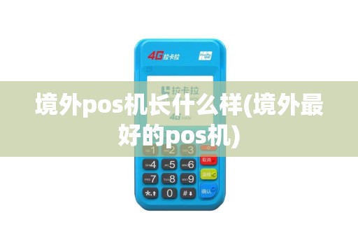 境外pos机长什么样(境外最好的pos机)